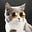 Question Cat's avatar