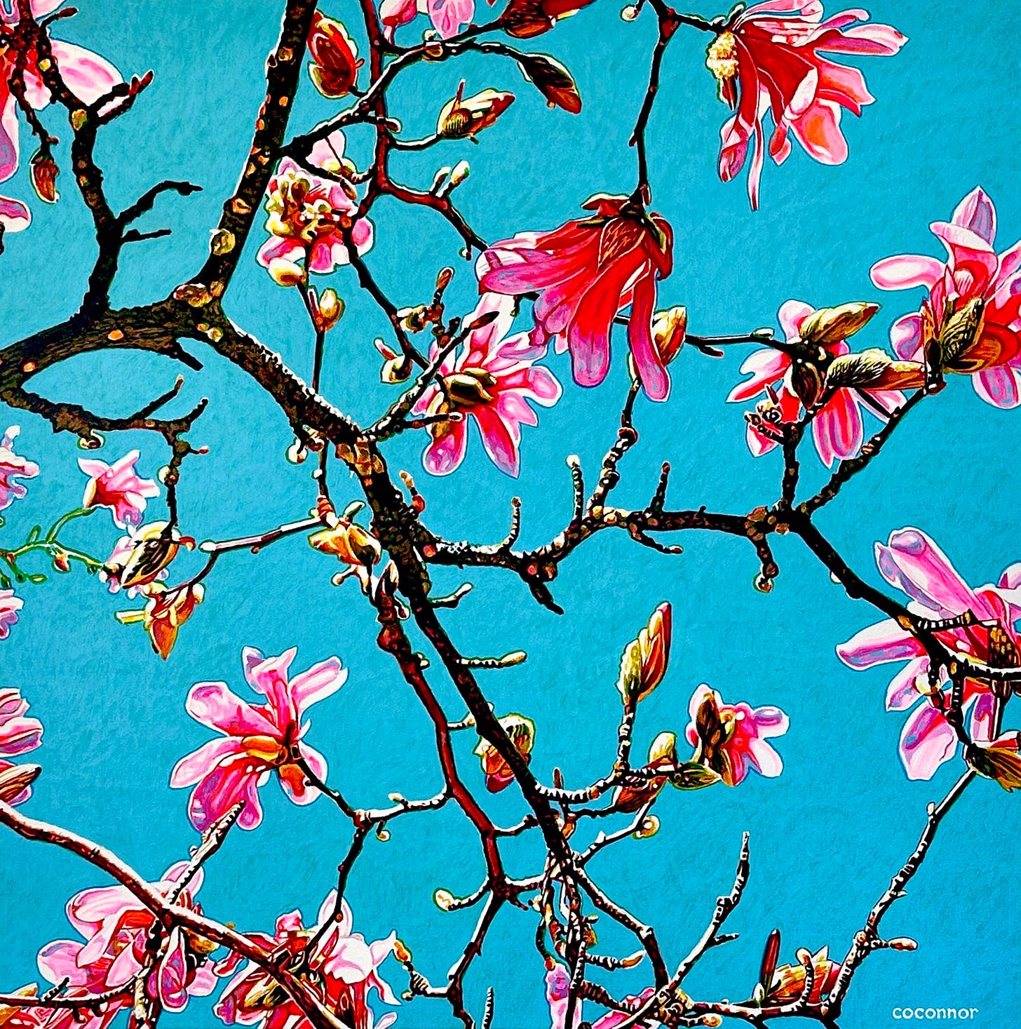 Magnolia Composition No. 7 by Christopher O'Connor