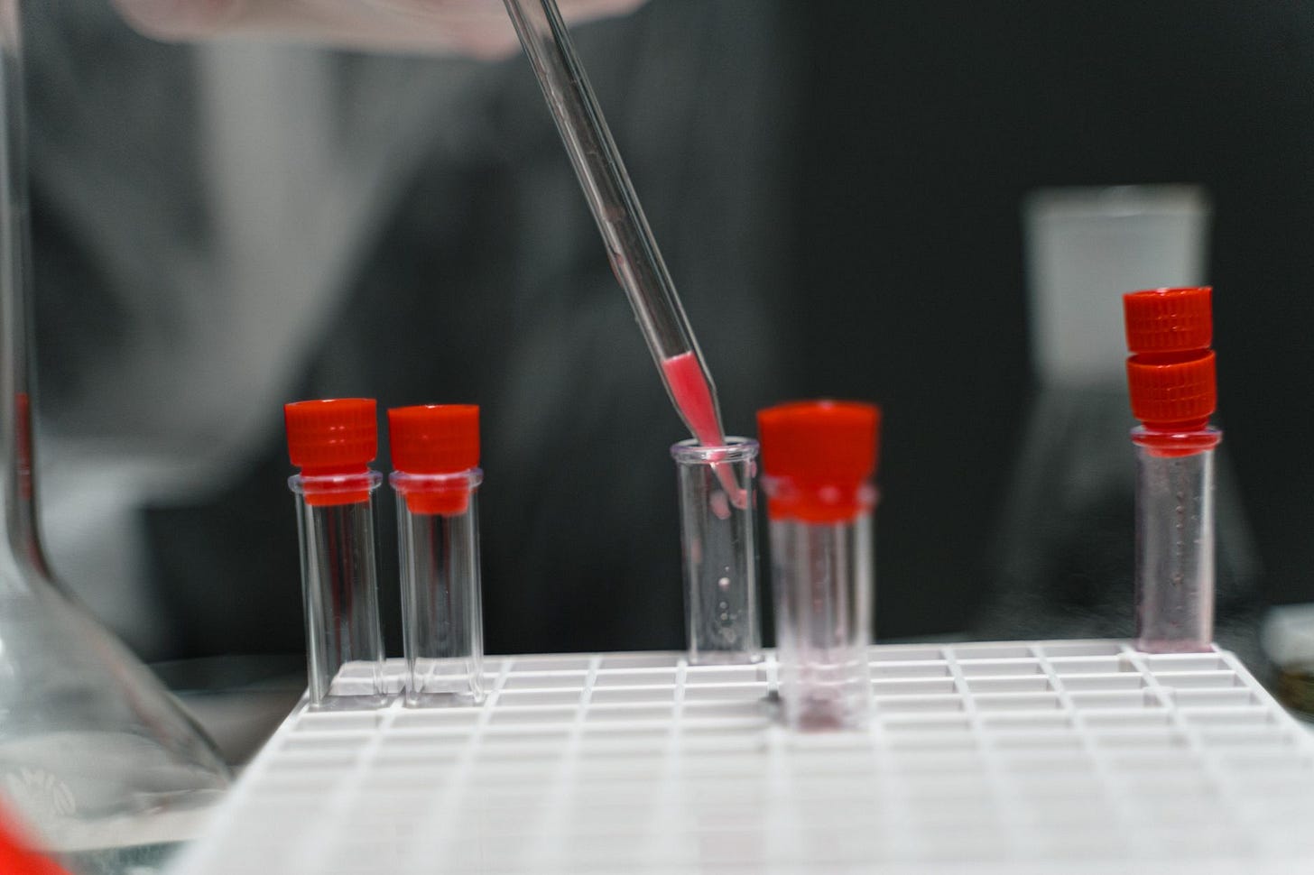 Close-up of pipette transferring liquid in laboratory test tubes. (stock photo)