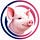 Le Substack de Porcomplex.org