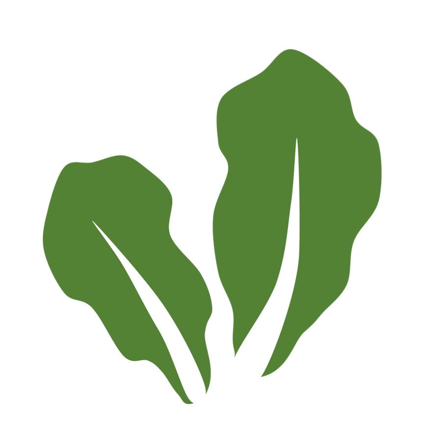 Sow, Harvest, Savor: Tanja's Garden