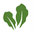 Sow, Harvest, Savor: Tanja's Garden