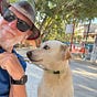 Dave McIntyre's avatar