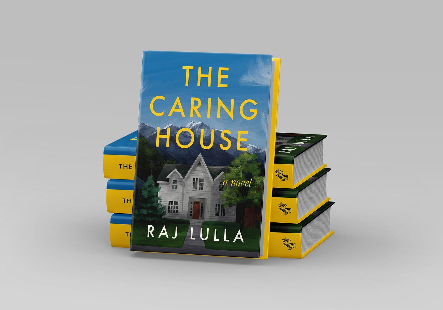 Book | Buy The Caring House Now — Raj Lulla