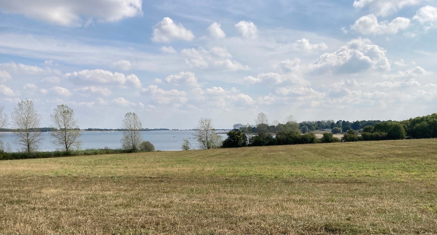 view over a meadow and lake towards a tree-lined horizon with blue sky and fluffy clouds. view over a meadow and lake towards a tree-lined horizon with blue sky and fluffy clouds.