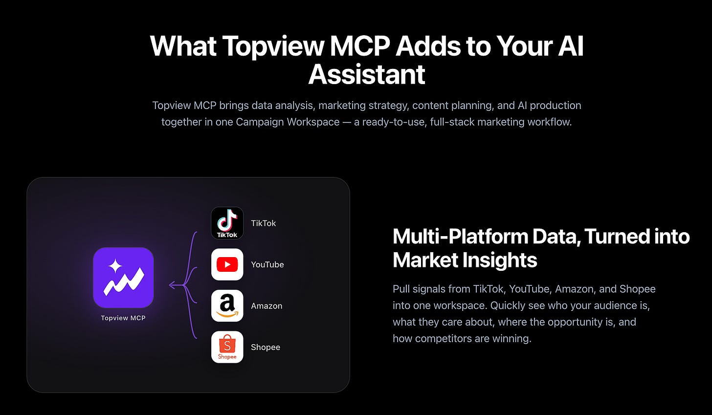 Topview MCP Topview MCP