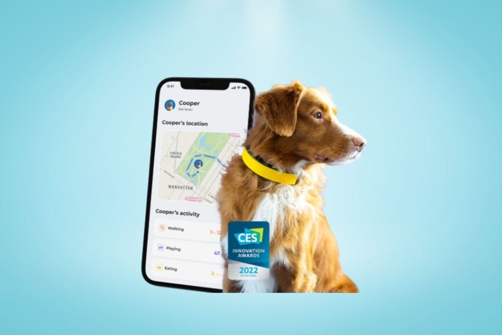 Invoxia Unveils Minitailz: Smart Collar for Cats and Dogs with Enhanced  Features | Tech Times