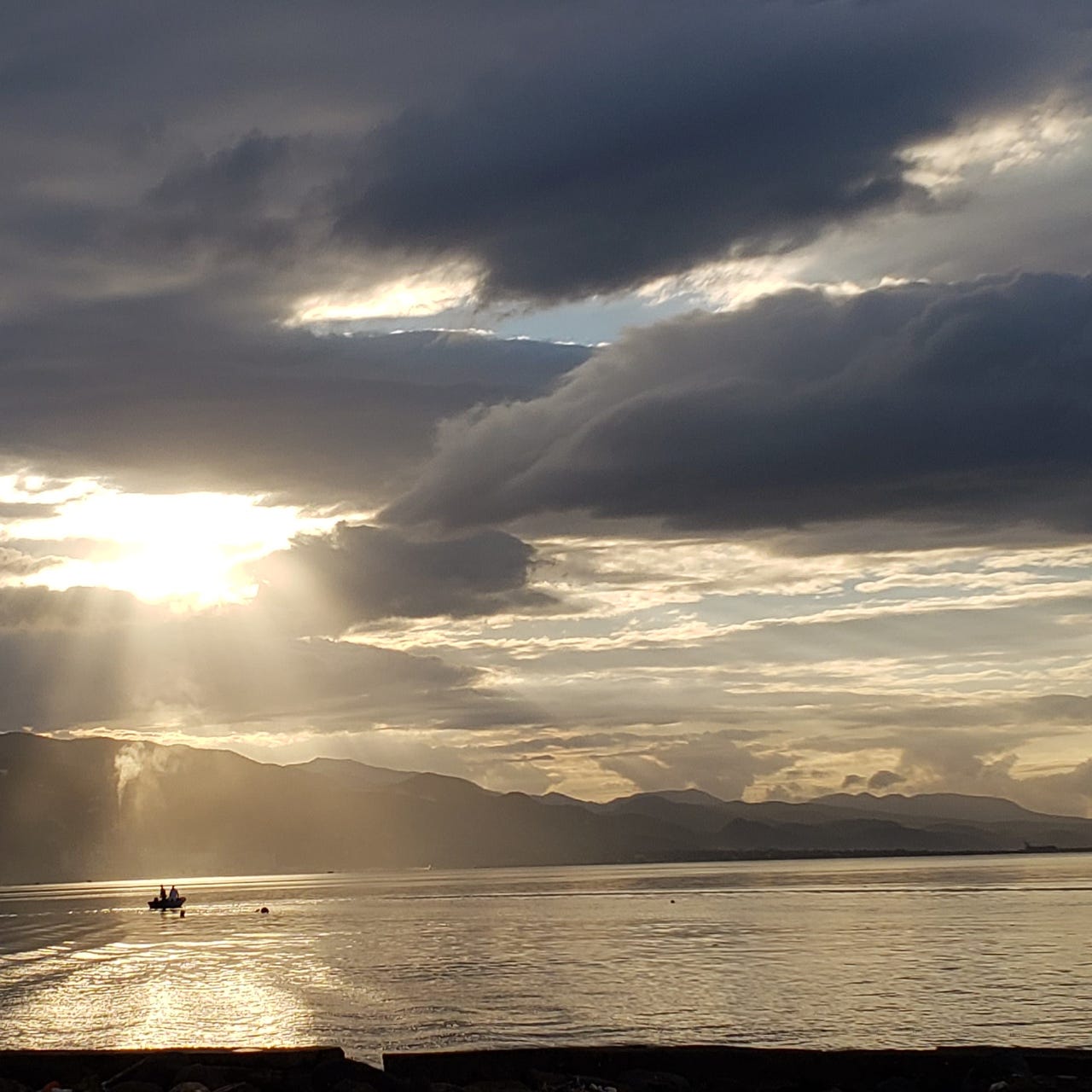 Annelise’s Newsletter