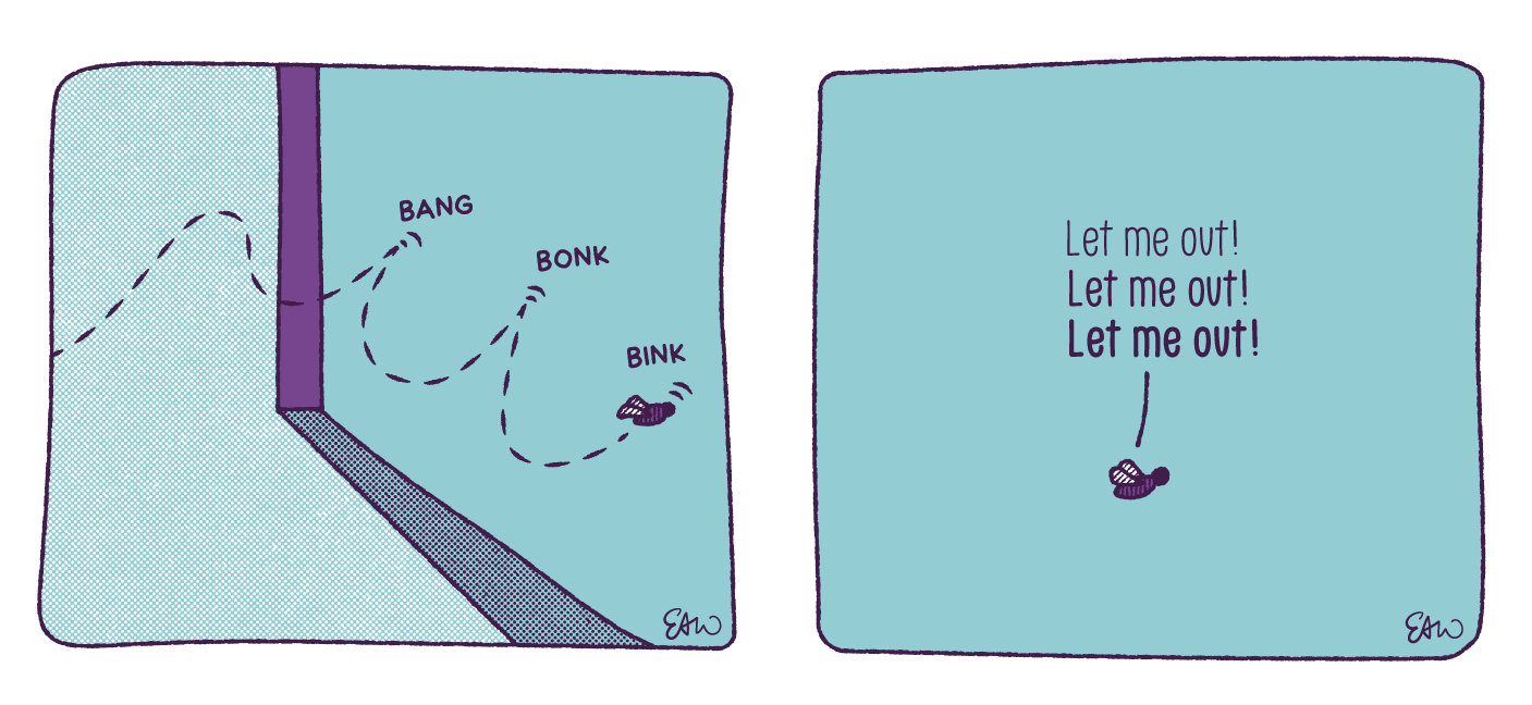 Next two panels of the comic showing the fly trying to get out the window but hitting the window pane instead with a bank, bonk, and bink sounds. There is a speech bubble above the house fly that demands, Let me out, Let me out, Let me out!