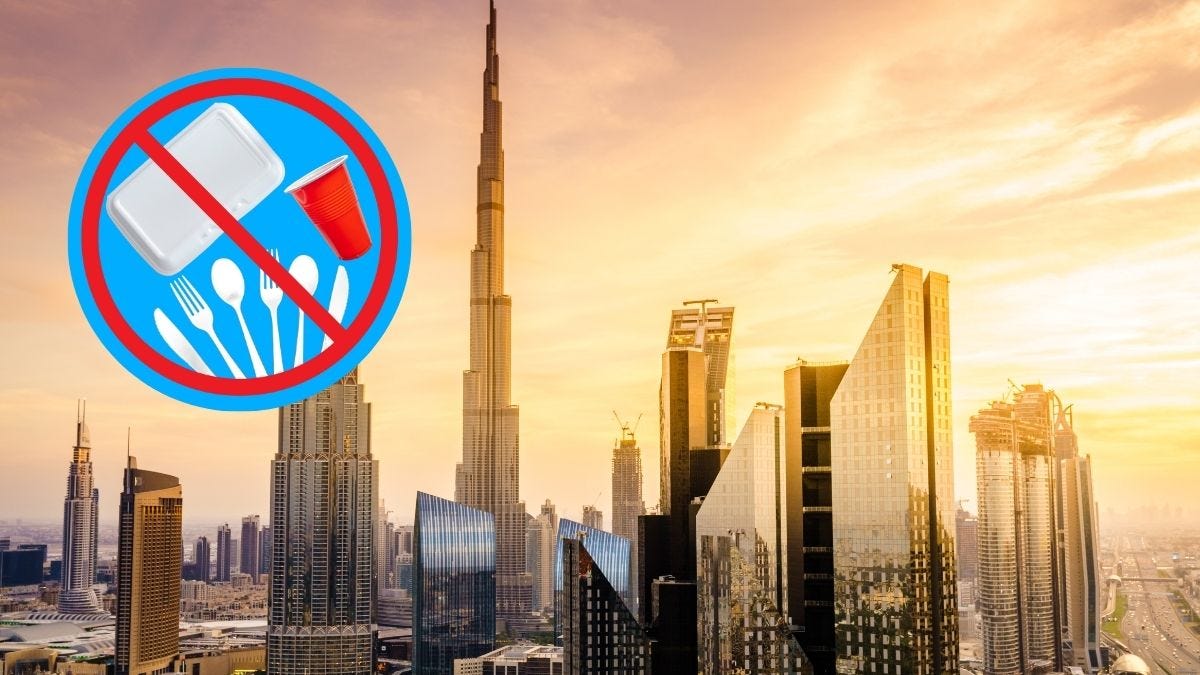 Sheikh Hamdan Bans Single-Use Plastic In Dubai: All About The Fine & Items  Banned