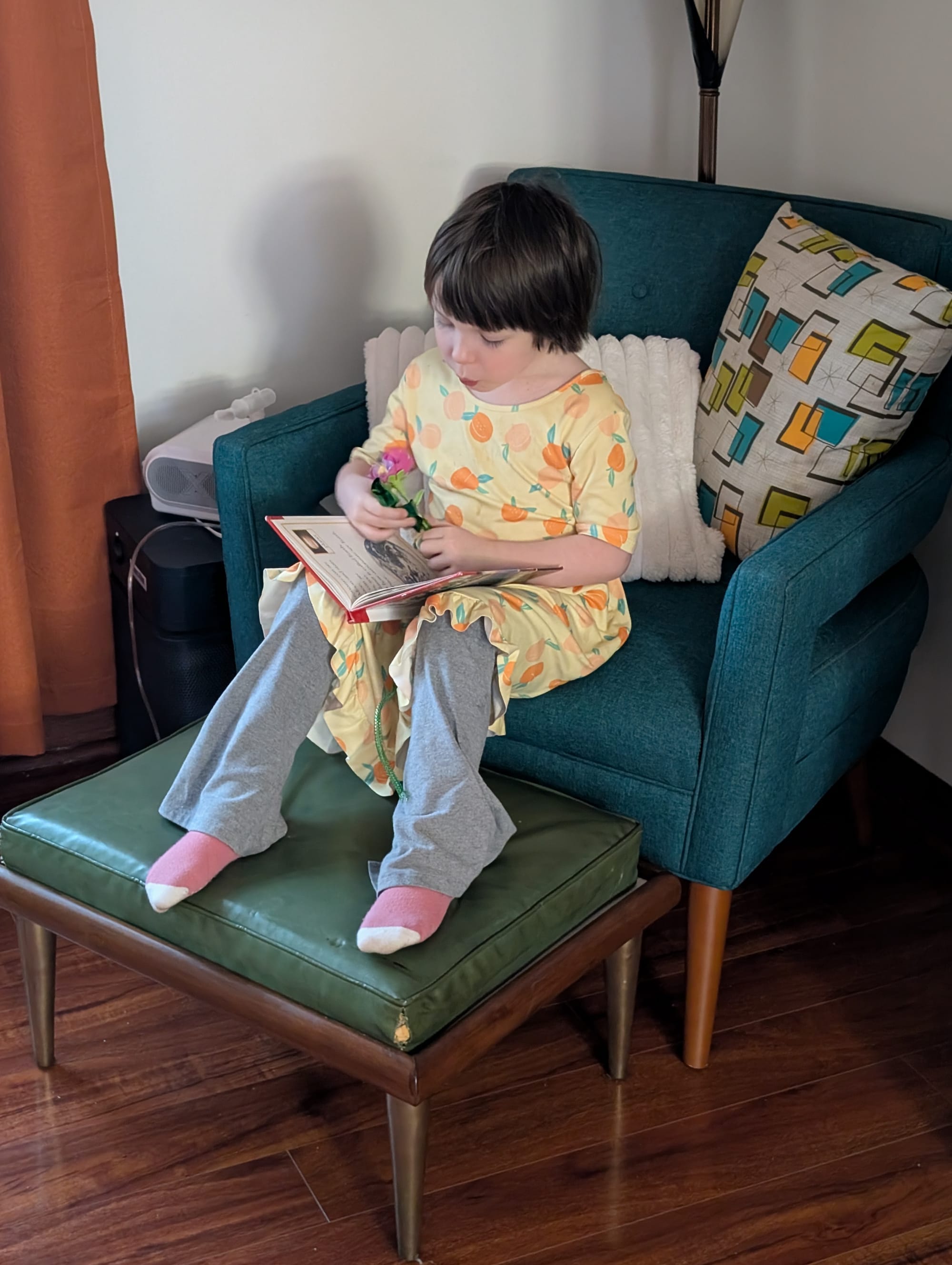 The Mess - by James P Fitzsimmons - Tidy Husband