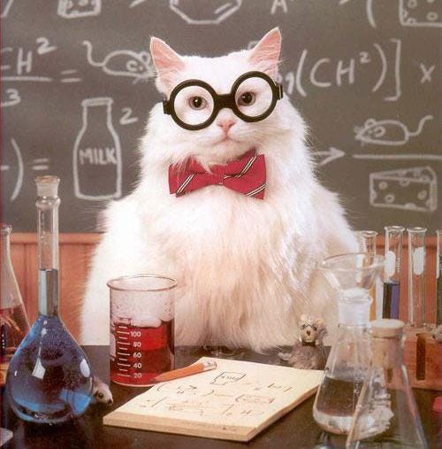 Science Cat Meme Generator - Imgflip