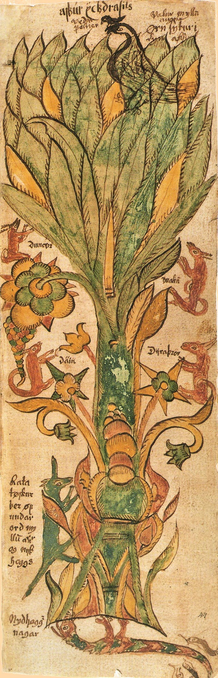 Yggdrasill. From 17th century Icelandic manuscript.
