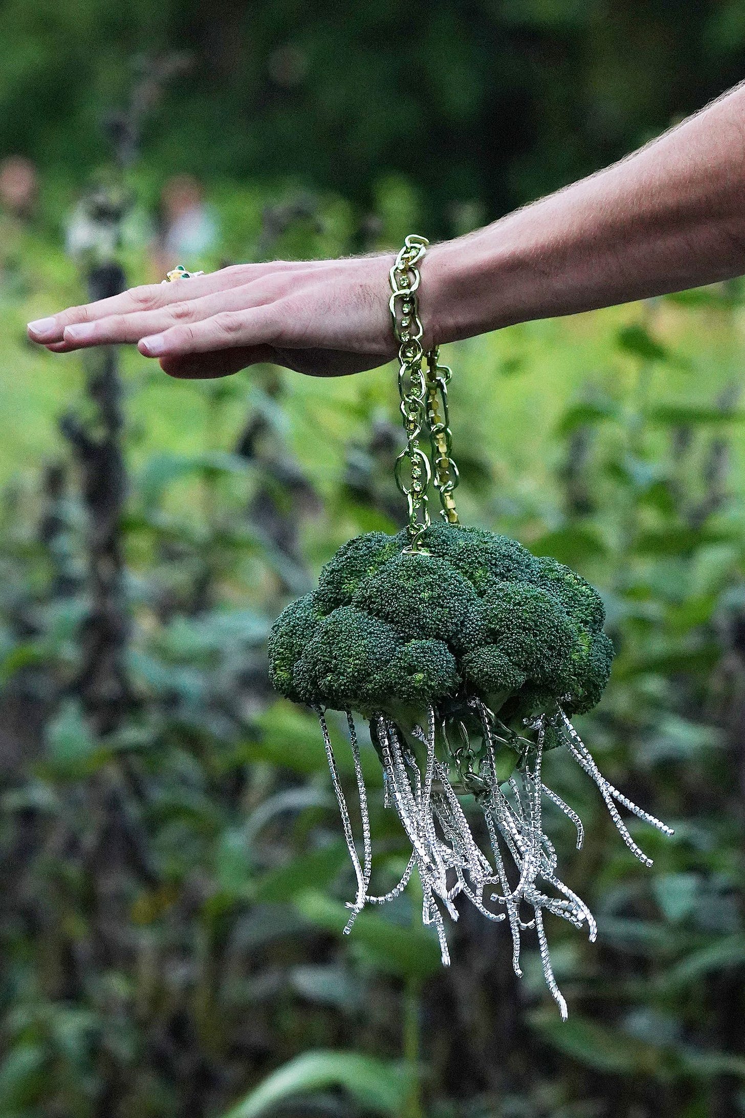 Image may contain Plant Food Vegetable Broccoli Human and Person Image may contain Plant Food Vegetable Broccoli Human and Person