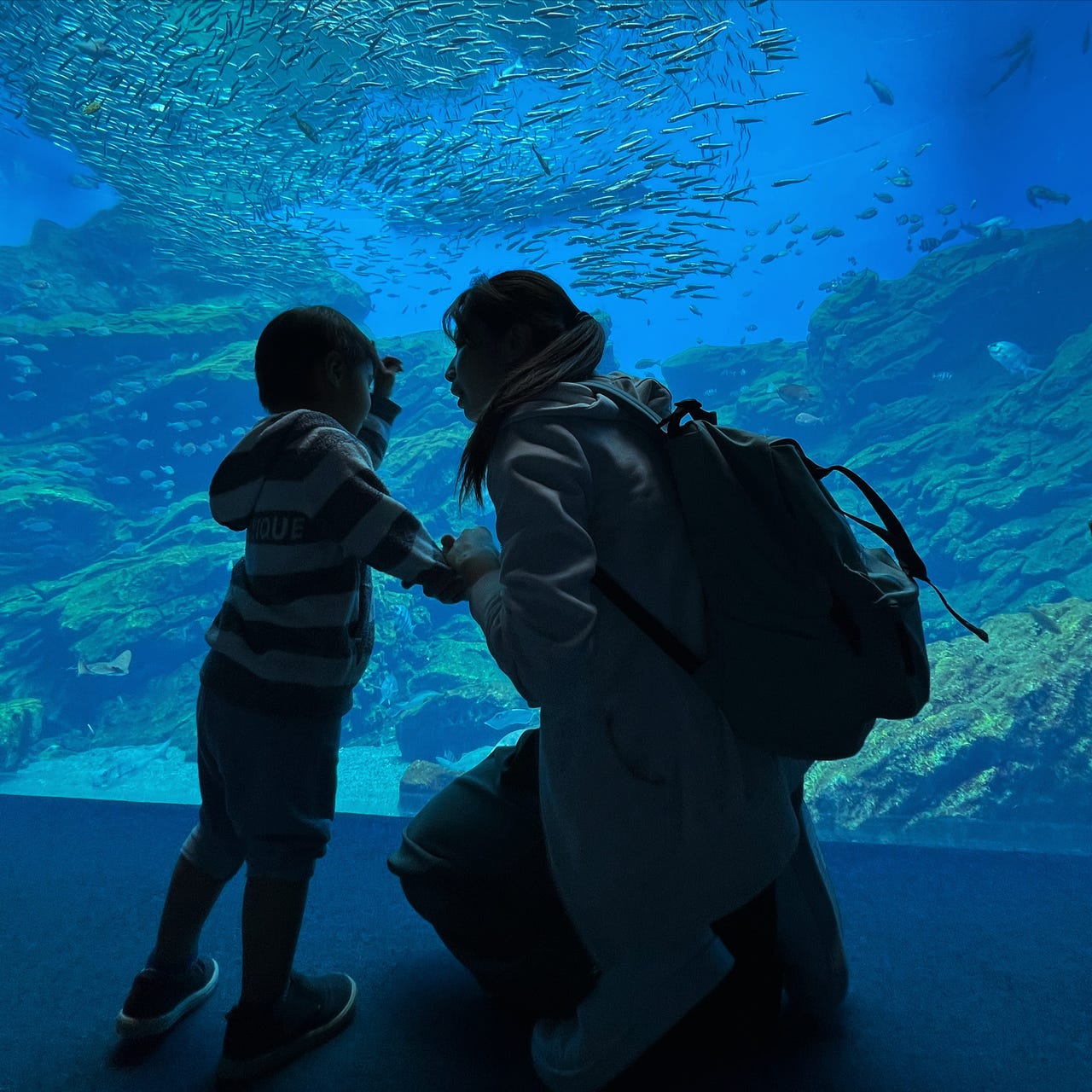 沒有小說的書店