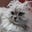 Joanne Gatsis's avatar