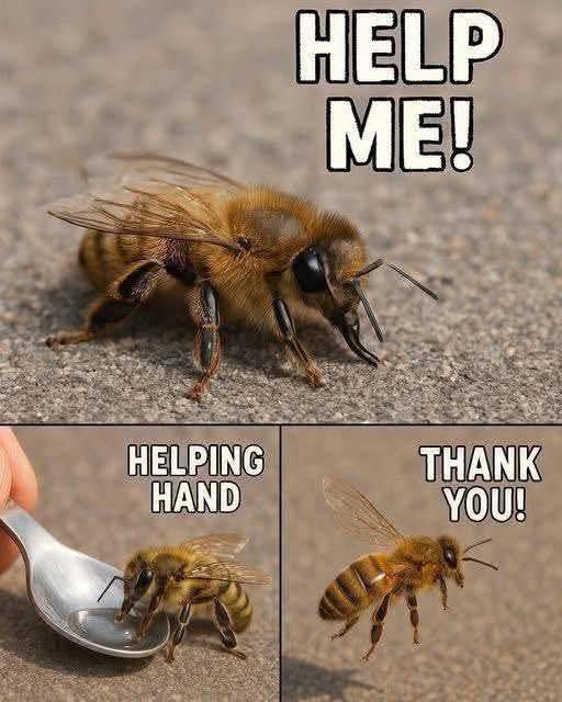 May be an image of text that says 'HELP ME! HELPING HAND Kee THANK YOU!'