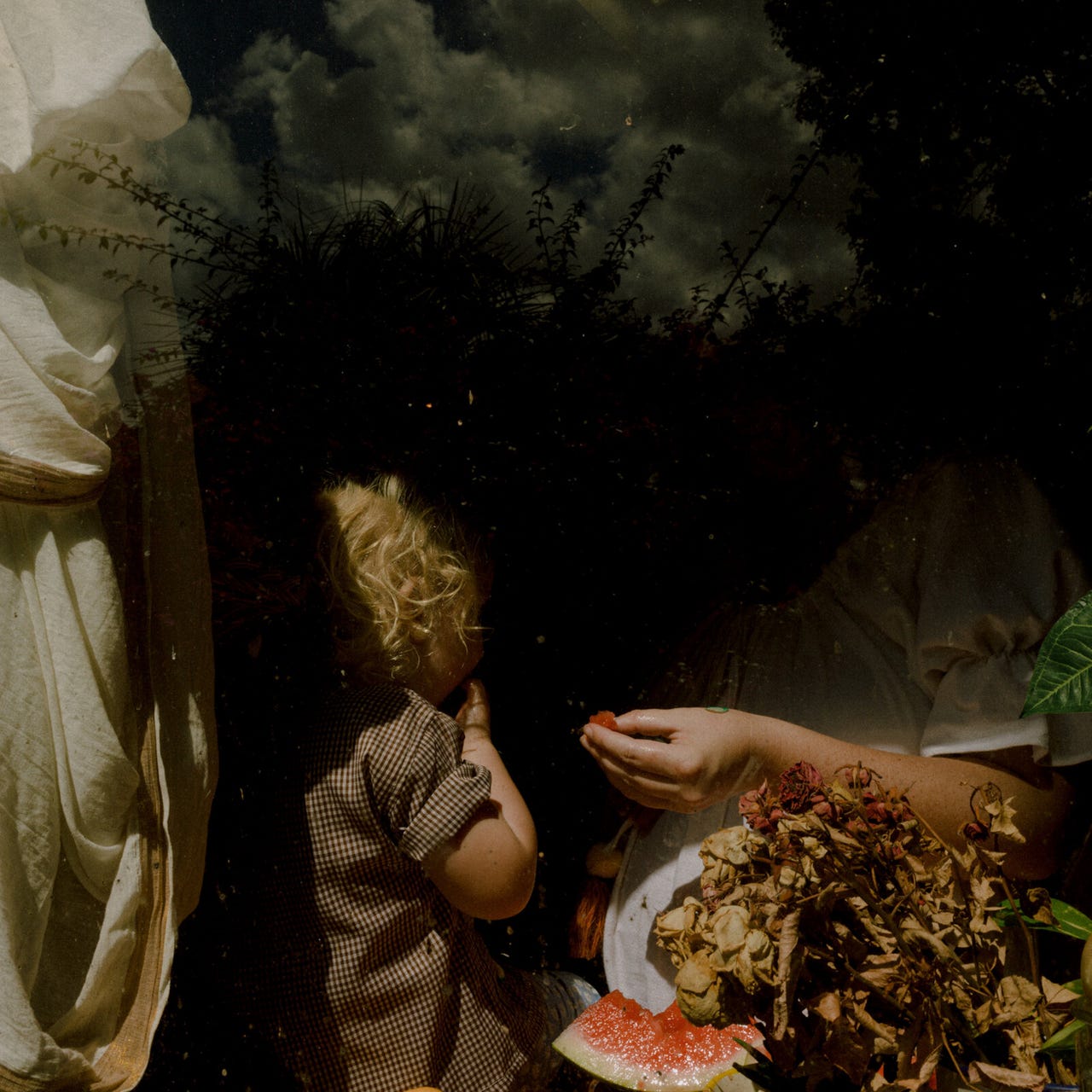 Bringing Down The Flowers