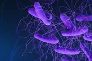 C difficile