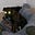 amphisbaena's avatar