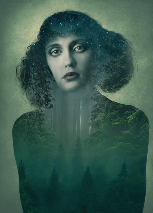 A woman whose dark hair is the night sky, and whose body is the wild wood. A woman whose dark hair is the night sky, and whose body is the wild wood.
