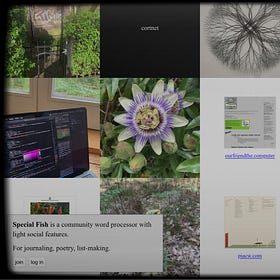 How to Drift Through the Indie Web Instead of Doomscrolling