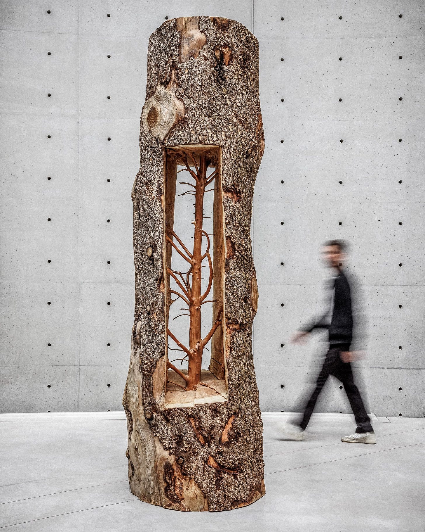 Photo : Florent Michel Penone