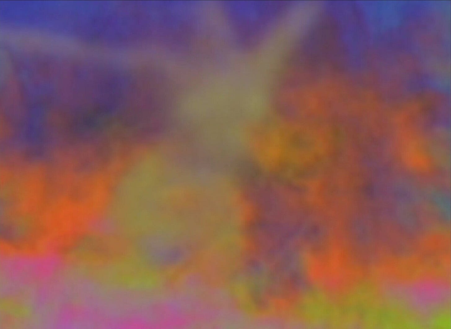 Venus Rising (Colleen Keough, 2020) Venus Rising (Colleen Keough, 2020)