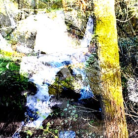The Rio Cavalos trio: ‘arts of noticing’ through sound in new landscapes
