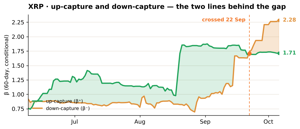 XRP up-capture and down-capture XRP up-capture and down-capture