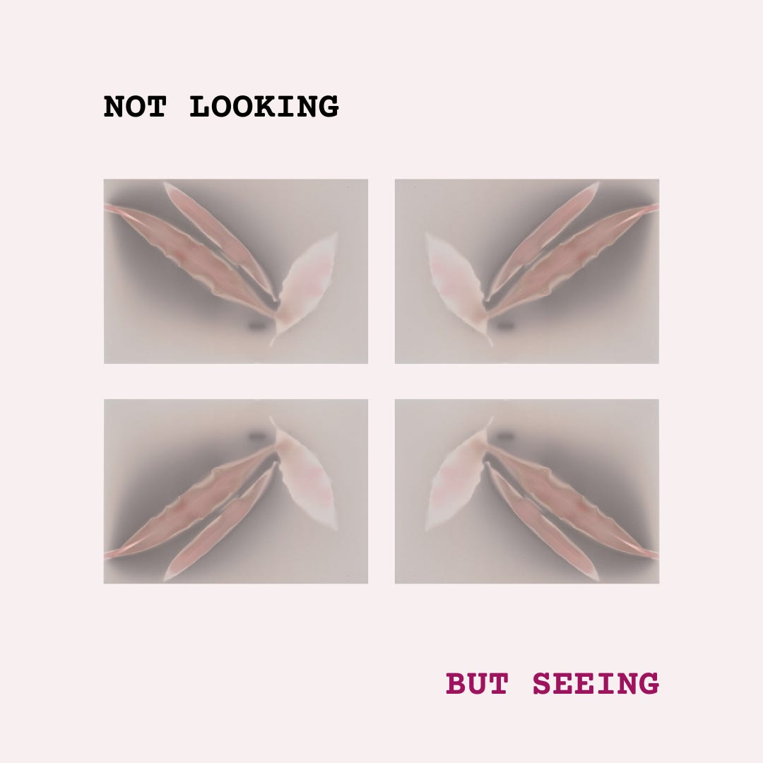 Not Looking, But Seeing