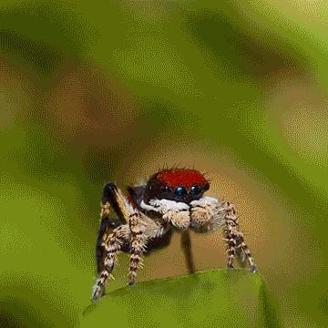 Me Gustas Tu! Tabs, Wed., March 11, 2026