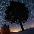 Customers are the North Star