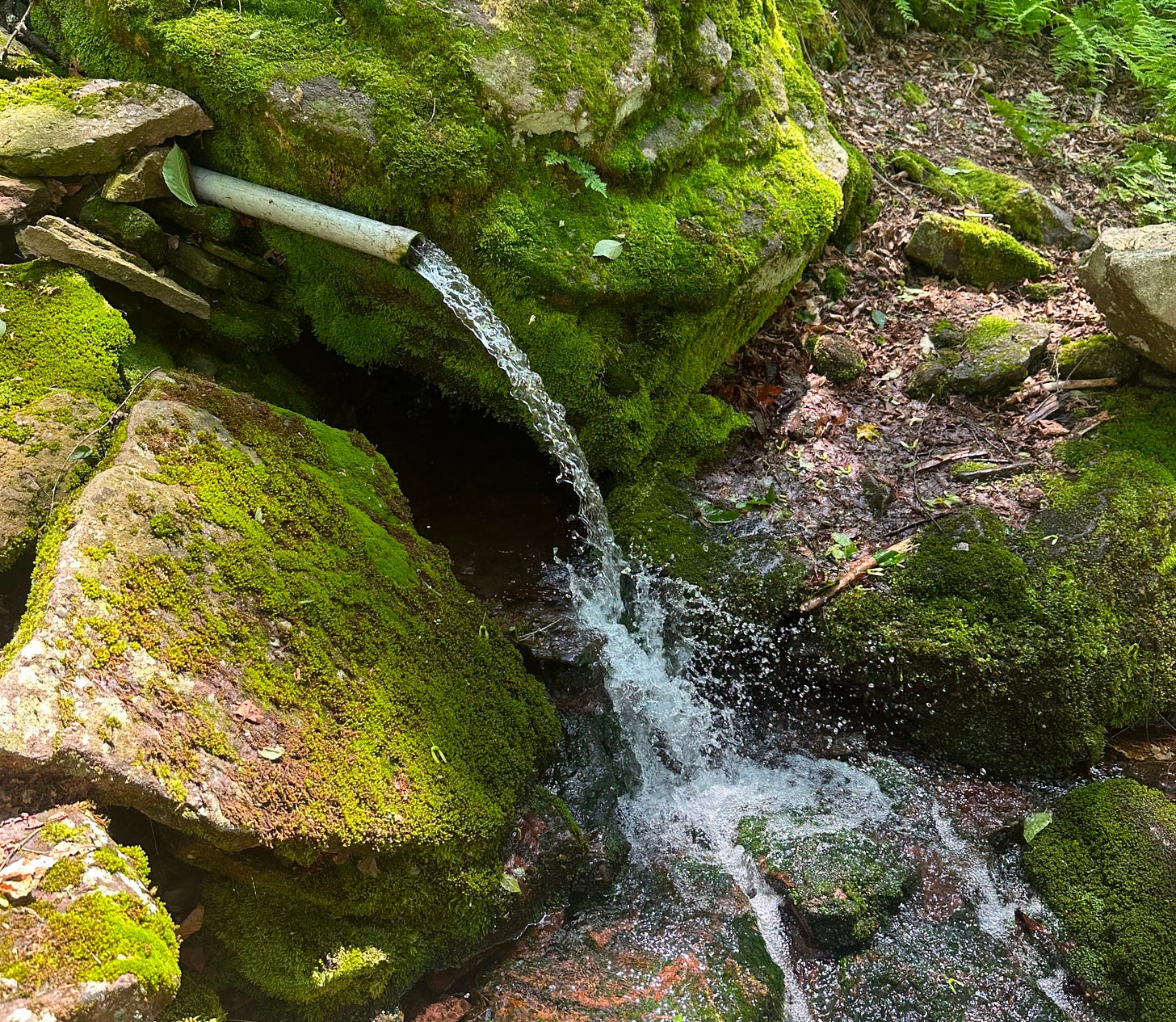 neversink new york postcardsbykayla travel blog