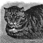 An Attorney’s Guide to Semantics, Part 2