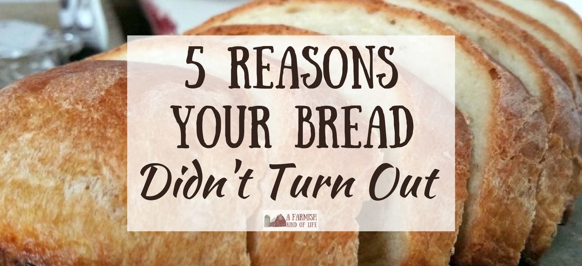 5 Reasons Your Bread Didn't Turn Out - A Farmish Kind of Life 5 Reasons Your Bread Didn't Turn Out - A Farmish Kind of Life