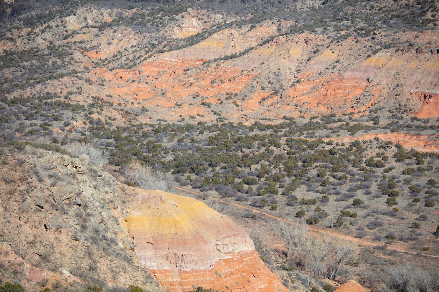 A landscape photo looking down into the canyon, as described in the text. No sky is shown in this photo.