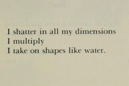Mona Sa’udi, from Women of the Fertile Crescent: An Anthology of Modern Poetry by Arab Women (ed. & trans. Kamal Boullata) 

[Text ID: “I shatter in all my dimensions
I multiply
I take on shapes like water.”]