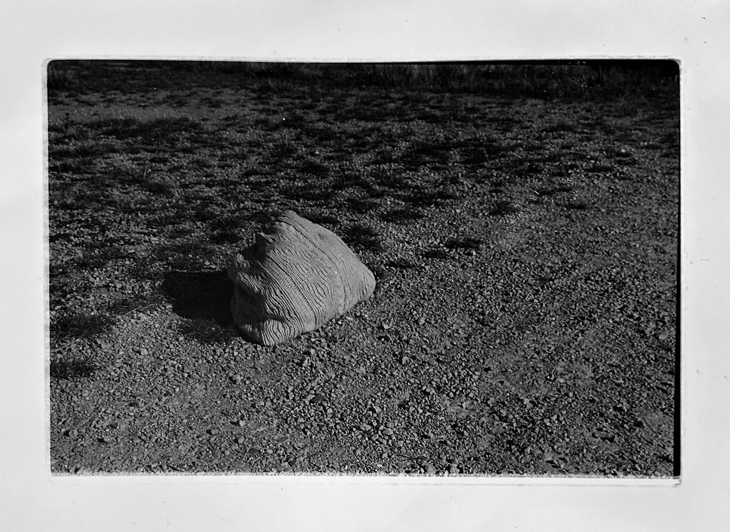 A rock on the ground

Description automatically generated