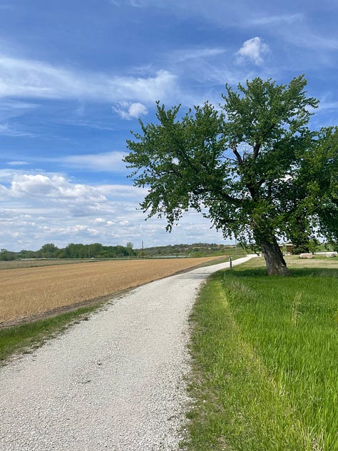 photo of a store front with a sign saying "Jenna's" out front; a gravel road between green trees and a blue sky; a small kitchen.