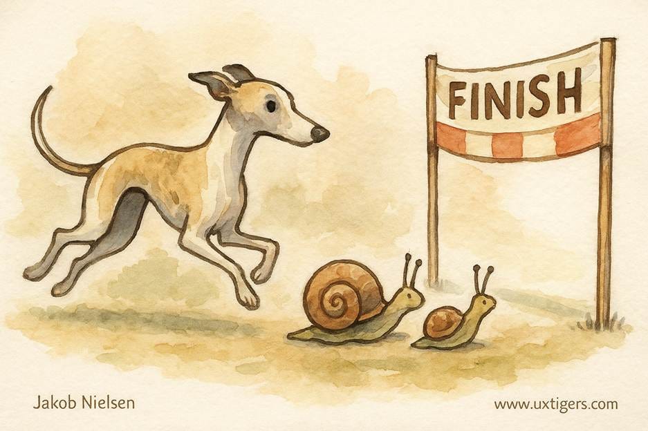A dog chasing snails next to a flag

AI-generated content may be incorrect.