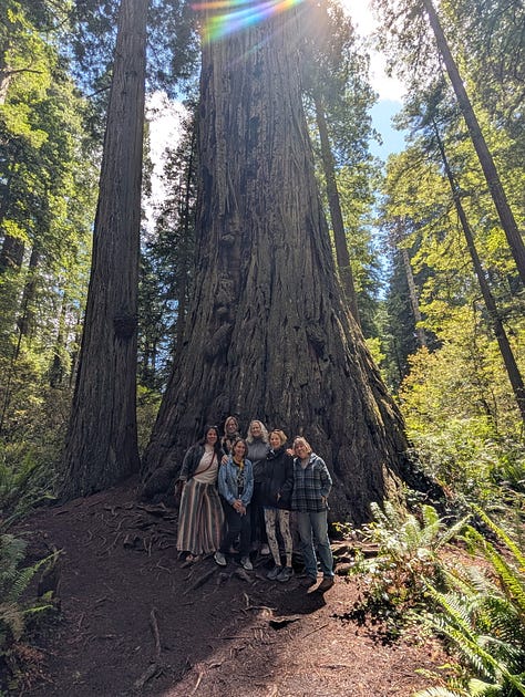 Jessica DeYoung led this retreat north of Brookings Oregon where we got to play on the beach, watch the waves, stay in a lovely AirBNB and walk through the redwoods.