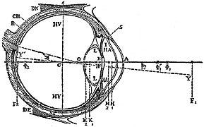 File:EB1911 Vision - Ideal or Schematique Eye.jpg