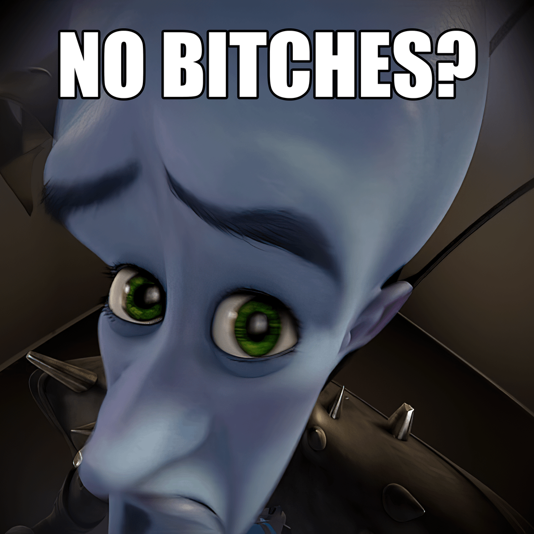 Megamind "No Bitches?" meme [3264x3264] : r/MemeRestoration