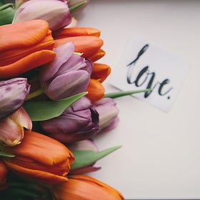 🥰 Welcome to February in The Haven