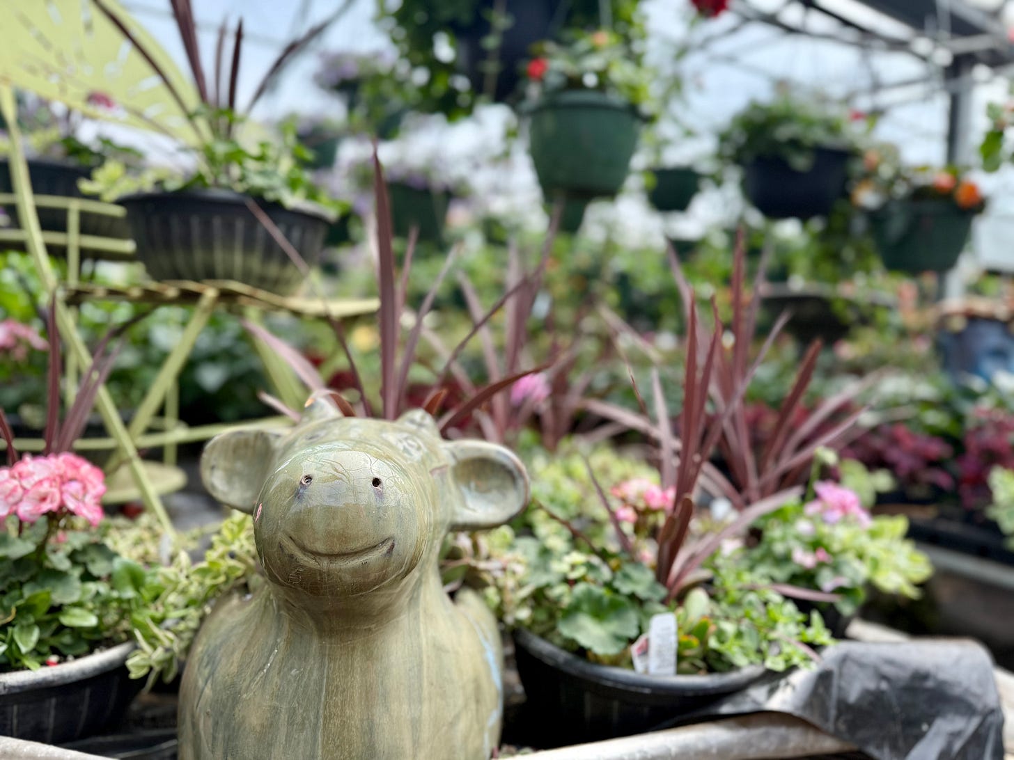 Cow planter and flowers at Byrns Greenhouse