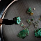 Anthropology.net