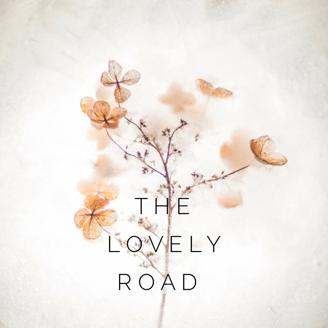 the lovely road