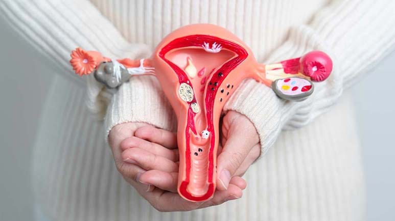 early hysterectomy cardiovascular risk