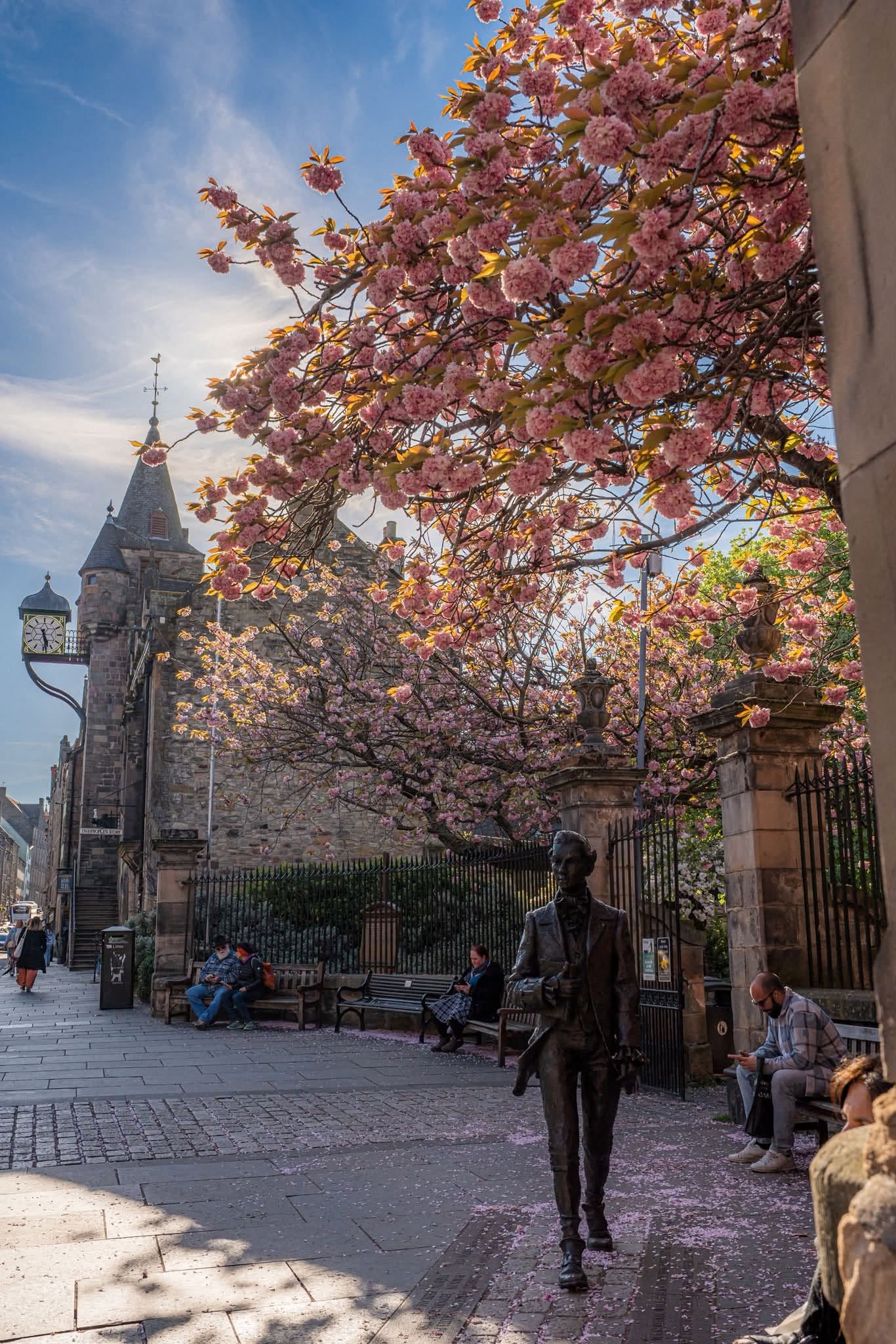 May be an image of jacaranda, stone-fruit tree and La Sagrada Familia